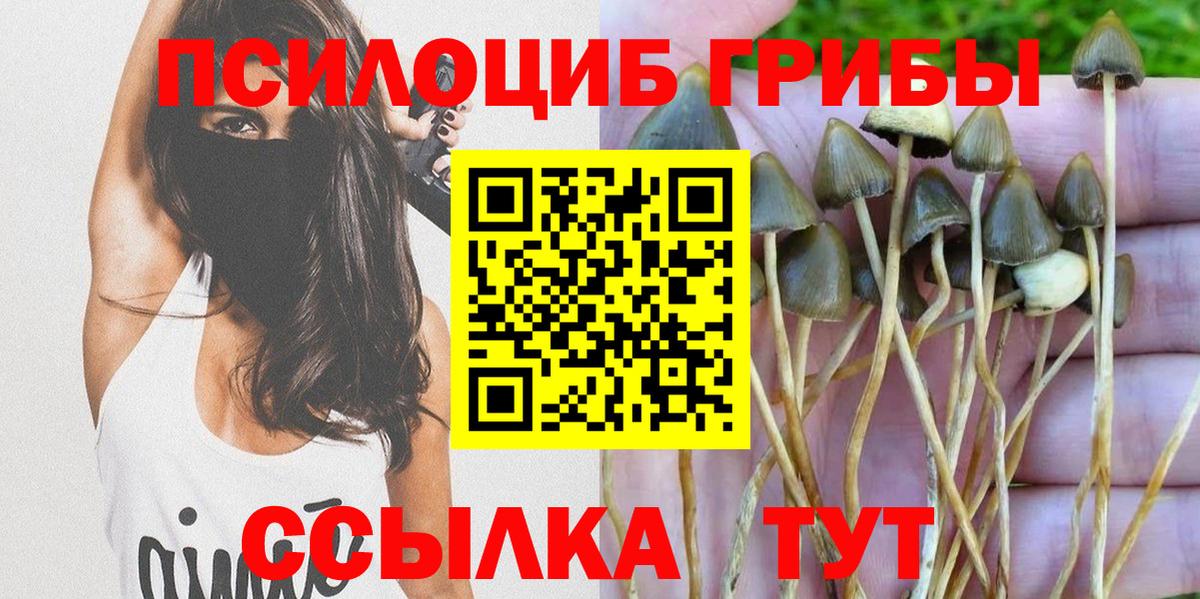 Псилоцибиновые грибы Magic Shrooms  Вход с VPN  Славянск-на-Кубани  Галлюциногенные грибы Psilocybine cubensis 